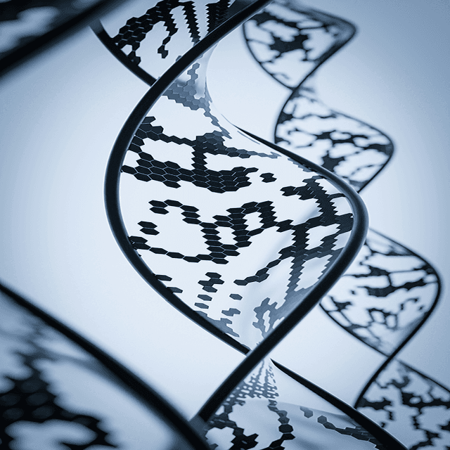 Career DNA